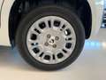 Fiat Panda 1.0 firefly hybrid Icon s&s 70cv Km Zero Blanco - thumbnail 19