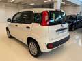 Fiat Panda 1.0 firefly hybrid Icon s&s 70cv Km Zero Blanco - thumbnail 8