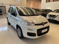 Fiat Panda 1.0 firefly hybrid Icon s&s 70cv Km Zero Blanco - thumbnail 3