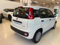 Fiat Panda 1.0 firefly hybrid Icon s&s 70cv Km Zero Blanco - thumbnail 6