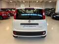 Fiat Panda 1.0 firefly hybrid Icon s&s 70cv Km Zero Blanco - thumbnail 7