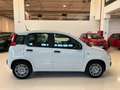 Fiat Panda 1.0 firefly hybrid Icon s&s 70cv Km Zero Blanco - thumbnail 5