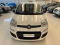Fiat Panda 1.0 firefly hybrid Icon s&s 70cv Km Zero Blanco - thumbnail 2