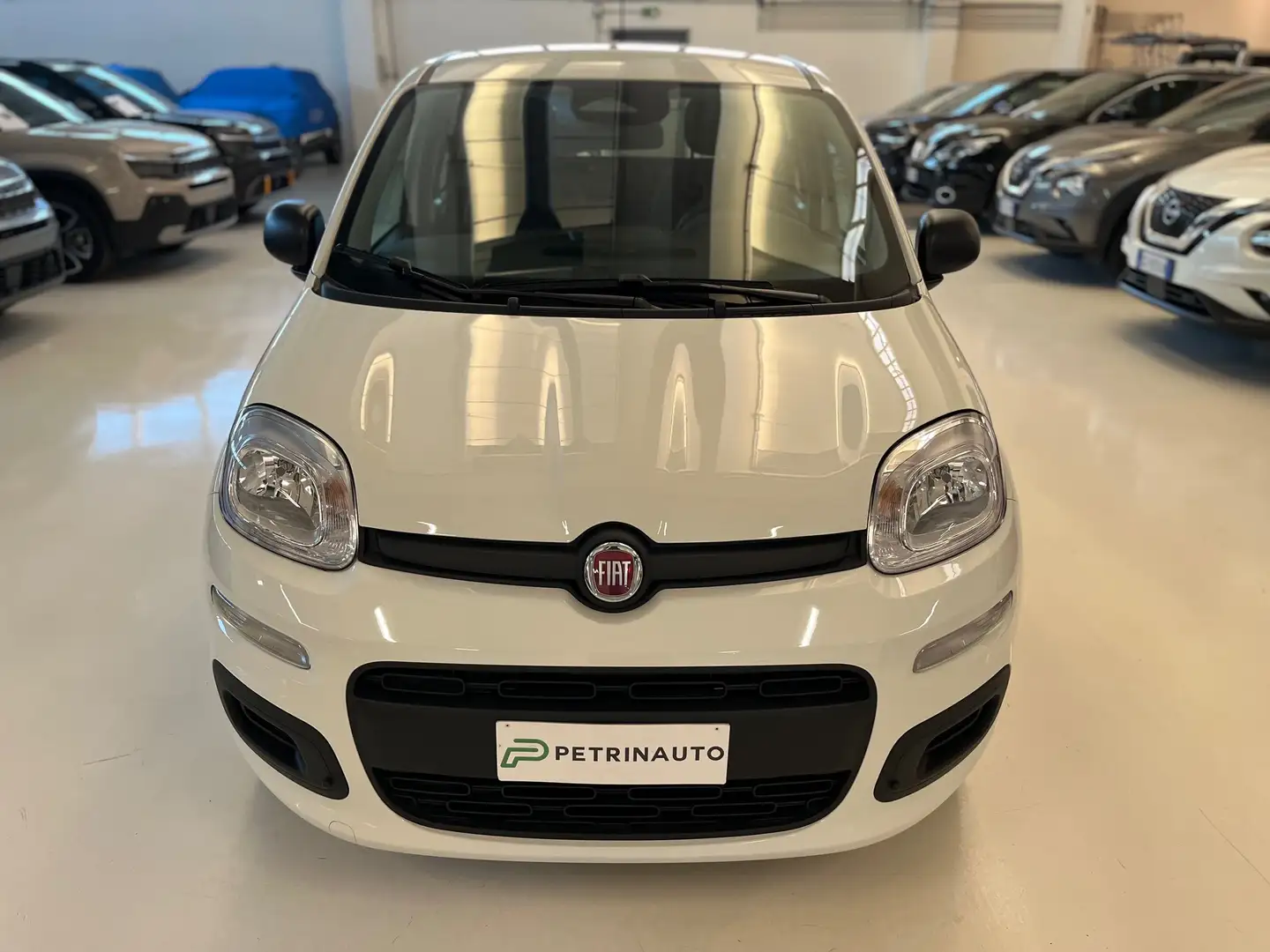 Fiat Panda 1.0 firefly hybrid Icon s&s 70cv Km Zero Blanco - 2
