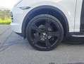 Porsche Cayenne Cayenne II Platinum Edition 3,0 Diesel Aut. Platinum Edition Weiß - thumbnail 10