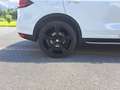 Porsche Cayenne Cayenne II Platinum Edition 3,0 Diesel Aut. Platinum Edition Weiß - thumbnail 9
