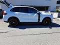 Porsche Cayenne Cayenne II Platinum Edition 3,0 Diesel Aut. Platinum Edition Weiß - thumbnail 2