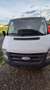 Ford Transit 2.2L Kasten 260K Weiß - thumbnail 6