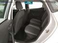 SEAT Ibiza 1.6 tdi business 95cv Blanc - thumbnail 14