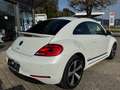 Volkswagen Beetle The Beetle 1.6 TDI DPF Design CUP Blanco - thumbnail 3