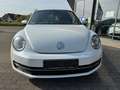 Volkswagen Beetle The Beetle 1.6 TDI DPF Design CUP Blanco - thumbnail 2