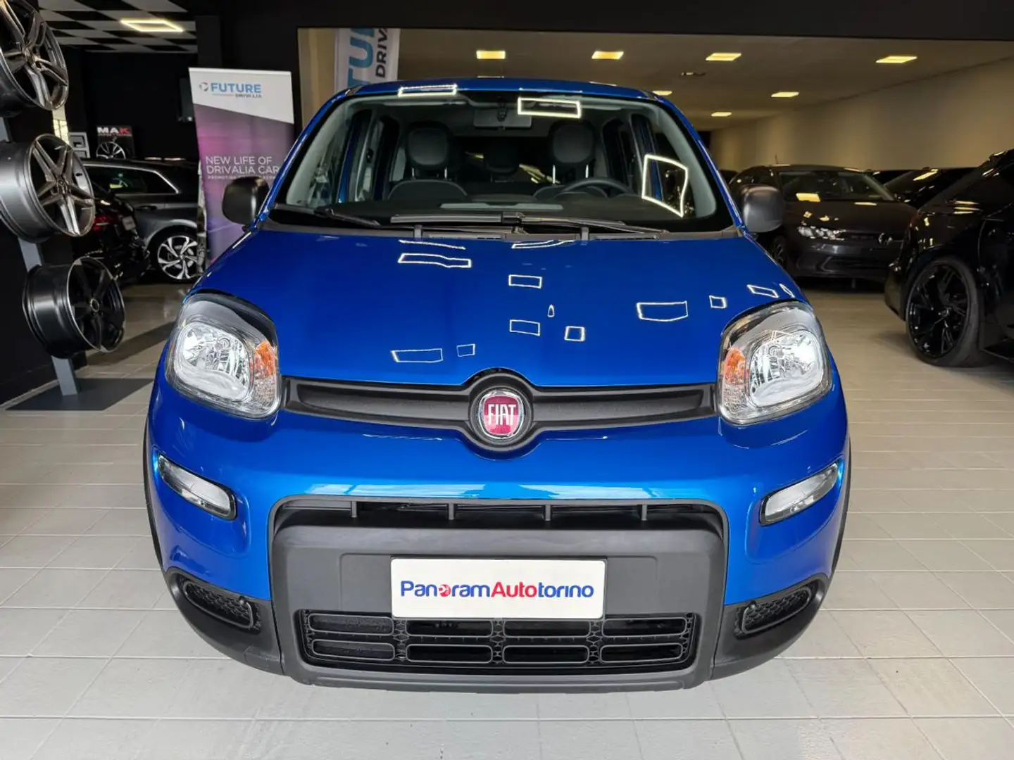 Fiat Panda 1.0 FireFly S&S Hybrid Km5400 Blu/Azzurro - 1