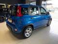 Fiat Panda 1.0 FireFly S&S Hybrid Km5400 Blu/Azzurro - thumbnail 6