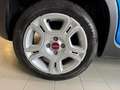 Fiat Panda 1.0 FireFly S&S Hybrid Km5400 Blu/Azzurro - thumbnail 7