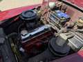Volvo PV544 c|Kattenrug|Rijdt en schakelt goed Rot - thumbnail 13