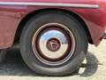 Volvo PV544 c|Kattenrug|Rijdt en schakelt goed Rot - thumbnail 12