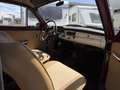 Volvo PV544 c|Kattenrug|Rijdt en schakelt goed Rot - thumbnail 8