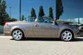 Ford Focus CC COUPÉ-CABRIOLET 2.0 TITANIUM AUT. ORIG NL | AFN. T Braun - thumbnail 7