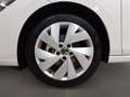 Volkswagen Golf Variant 1.5TSI Life LED-Plus*Sitzh*ACC* Weiß - thumbnail 6