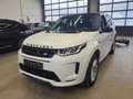 Land Rover Discovery Sport Hybrid R-Dynamic S AWD 57'km Weiß - thumbnail 1