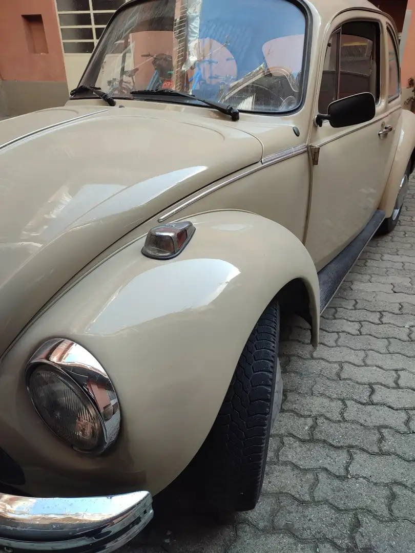 Volkswagen Maggiolino Maggiolino 1.2 L (messico) Beżowy - 1