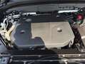 Volvo XC60 XC60 B4 Plus-Dark Aut Glasd Nappaleder-Perforiert Schwarz - thumbnail 14