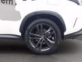 Lexus NX 450h+ 2.5 phev premium+ 4wd 309cv e-cvt Blanc - thumbnail 11