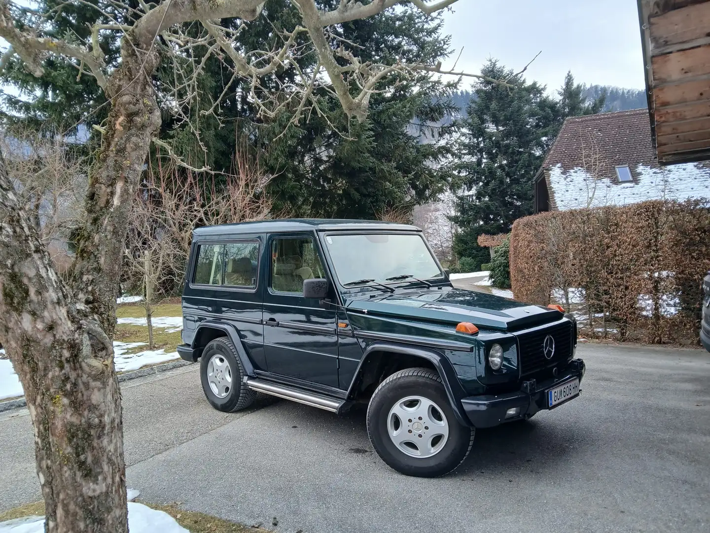 Puch G 300 GE kurz - 2