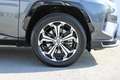 Toyota RAV 4 2,5 "PLUG-IN" Hybrid STYLE AWD-i Aut./1. Besitz! Gris - thumbnail 11