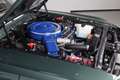Ford Mustang GT500KR 4-speed Verde - thumbnail 9