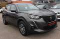Peugeot 2008 BlueHDi 100 Active Grau - thumbnail 3