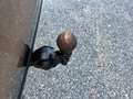 Volkswagen Golf Variant 2,0 TDI Life DSG | AHK Schwarz - thumbnail 38