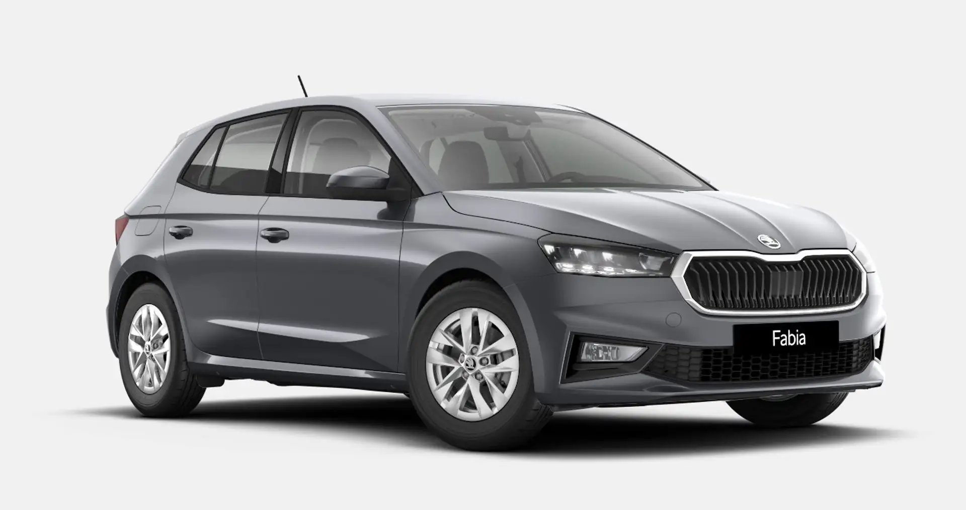 Skoda Fabia 1.0 TSI Selection LED AHK Klimaautom. Sitz-Lkrdhzg Grau - 1