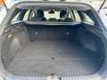 Kia Ceed / cee'd Ceed SW 1.6 CRDI Mild-Hybrid 136 Navi Kamera Weiß - thumbnail 29