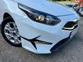 Kia Ceed / cee'd Ceed SW 1.6 CRDI Mild-Hybrid 136 Navi Kamera Weiß - thumbnail 9