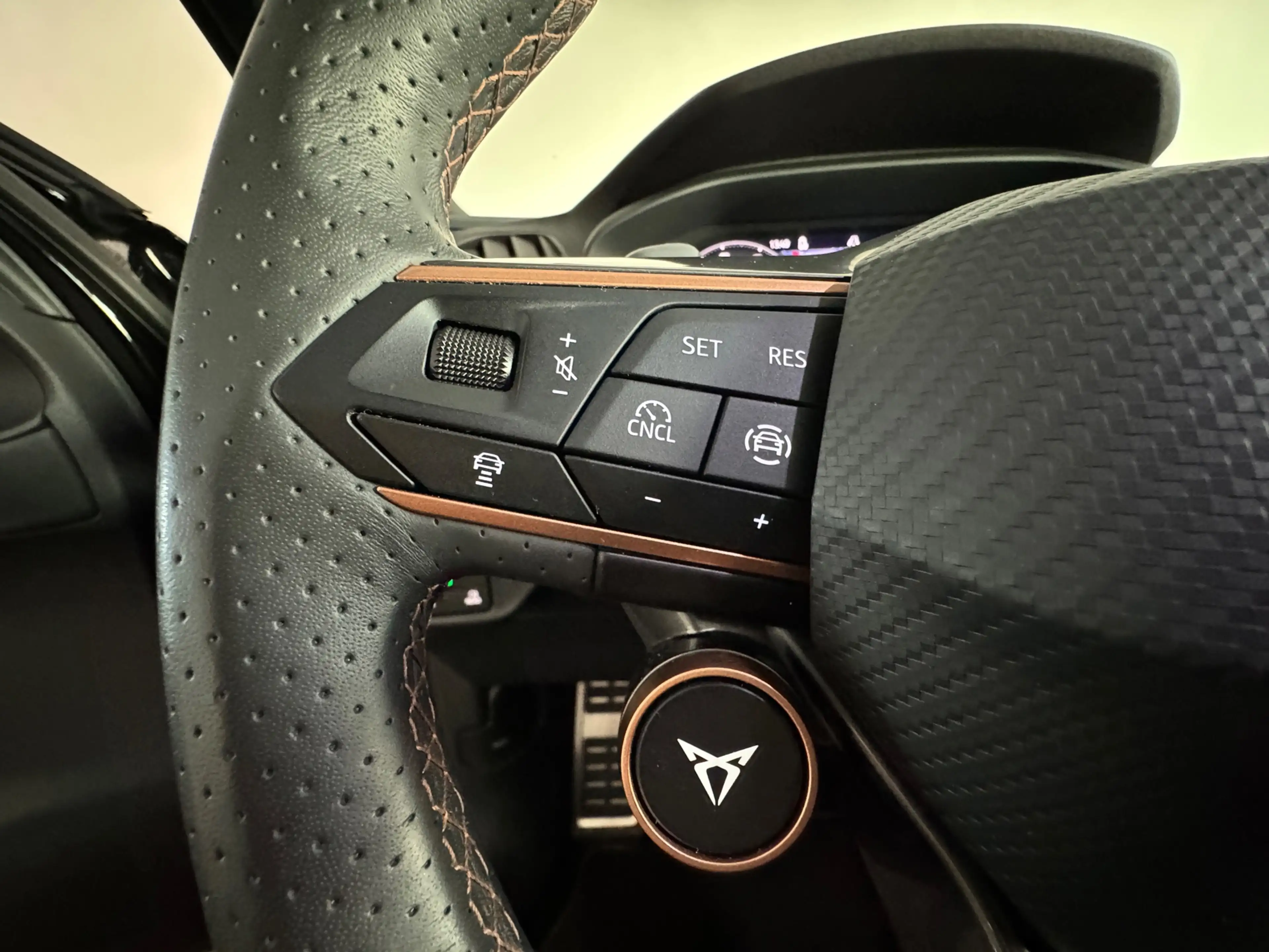 CUPRA Terramar 1.5 TSI e-Hybrid VZ America s CUP Pano|360|Sennhei — photo 12