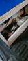 Peugeot Partner Electric L2H1 Premium * TOP ETAT * ETAGERE * Blauw - thumbnail 13