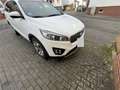 Kia Sorento 2.2 crdi Feel Rebel 4wd 7p.ti auto - thumbnail 1