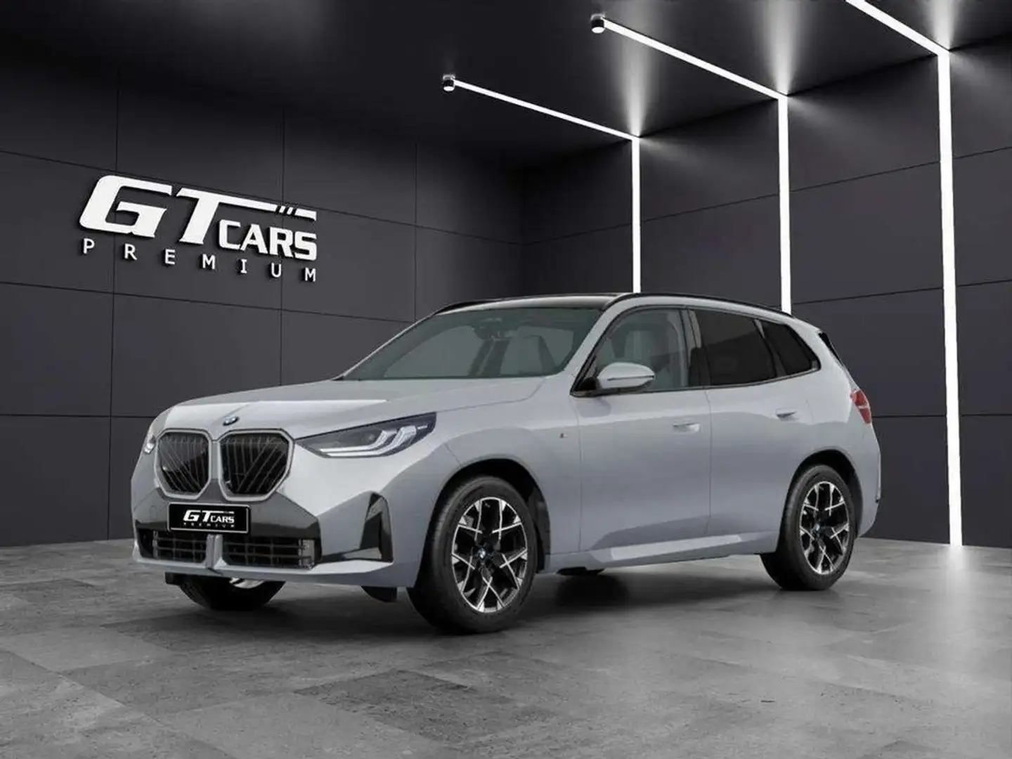 BMW X3 20d Xdrive Gris - 1