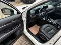 Mazda CX-5 184 AWD Automatik Homura Leder AHK Weiß - thumbnail 16