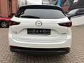 Mazda CX-5 184 AWD Automatik Homura Leder AHK Weiß - thumbnail 7