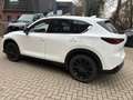 Mazda CX-5 184 AWD Automatik Homura Leder AHK Weiß - thumbnail 10