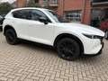 Mazda CX-5 184 AWD Automatik Homura Leder AHK Weiß - thumbnail 3
