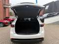Mazda CX-5 184 AWD Automatik Homura Leder AHK Weiß - thumbnail 8