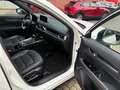 Mazda CX-5 184 AWD Automatik Homura Leder AHK Weiß - thumbnail 28