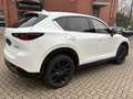 Mazda CX-5 184 AWD Automatik Homura Leder AHK Weiß - thumbnail 5