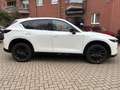 Mazda CX-5 184 AWD Automatik Homura Leder AHK Weiß - thumbnail 4