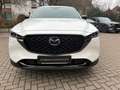 Mazda CX-5 184 AWD Automatik Homura Leder AHK Weiß - thumbnail 15