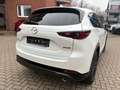 Mazda CX-5 184 AWD Automatik Homura Leder AHK Weiß - thumbnail 6