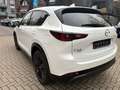 Mazda CX-5 184 AWD Automatik Homura Leder AHK Weiß - thumbnail 9
